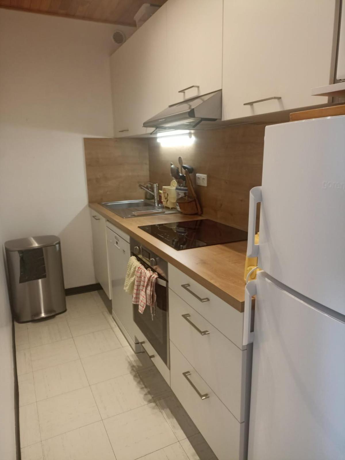 Appartement Au Pied Des Pistes Puy-Saint-Vincent Bagian luar foto